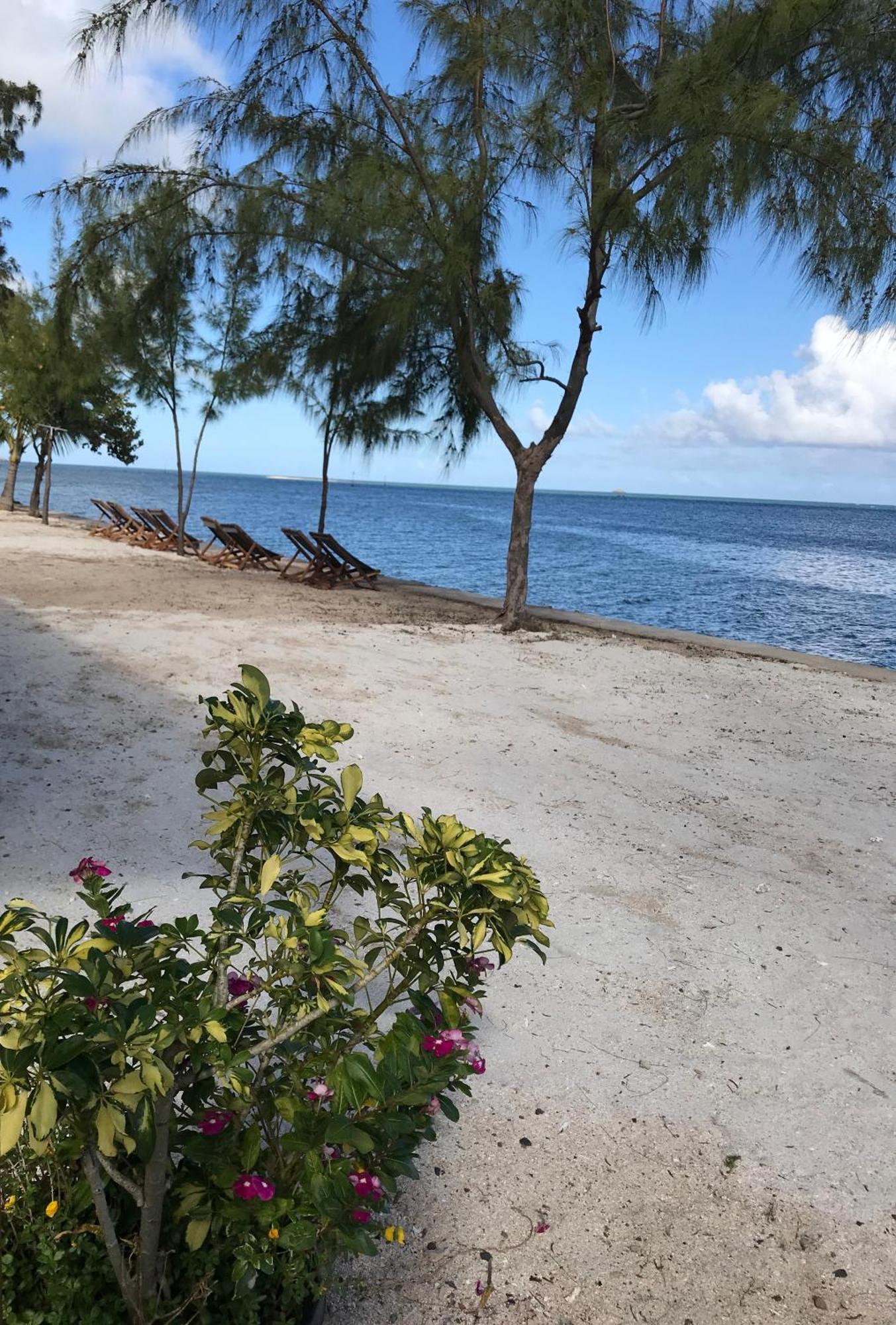 Bon Vivant Front De Mer - Ile Rodrigues Hotel Port Mathurin Exterior foto